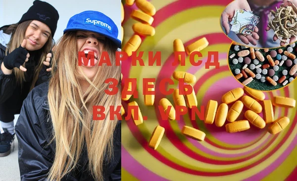 стафф Россошь