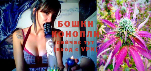 стафф Россошь