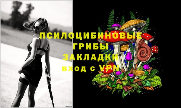 прущие крисы Приозерск