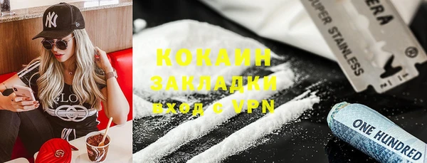 прущие грибы Всеволожск