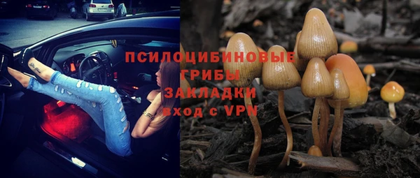 не бодяженный Протвино