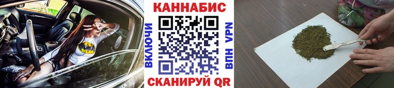 блэк спрут как зайти  Белгород  Бошки марихуана план  сайты даркнета какой сайт  купить наркотик 
